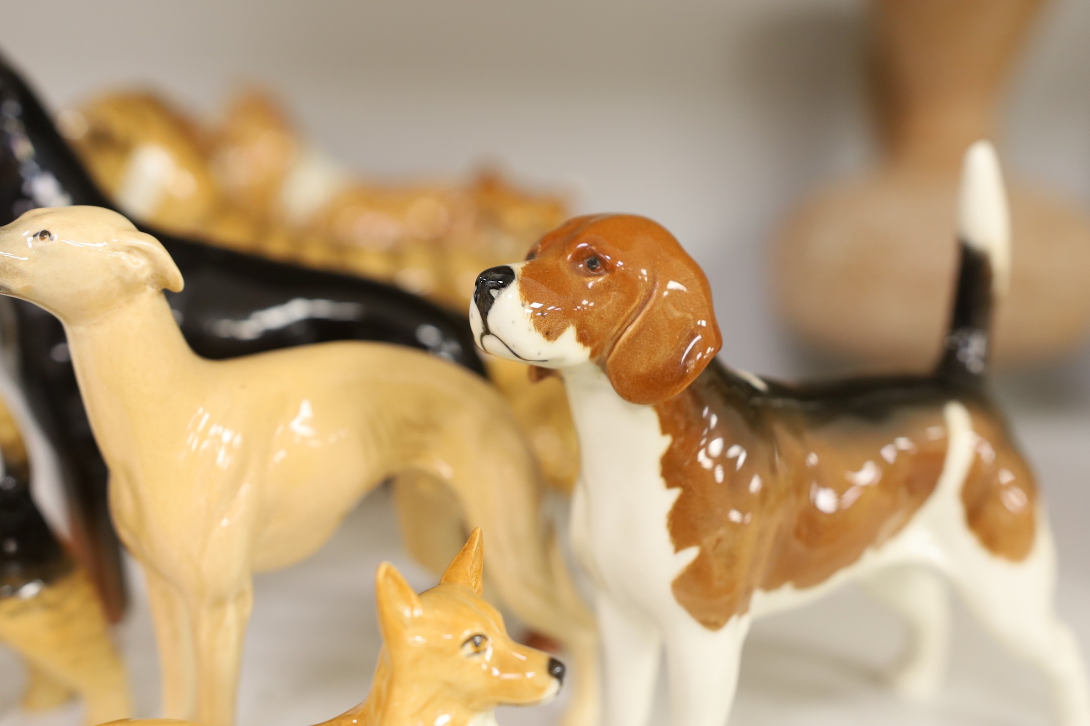 A selection of Beswick dogs, to include a Corgi, Daschund, Lurcher, Beagle, Doberman, Fox Terrier, Lochinvar of Ladypark, together with a Beswick cat (9)